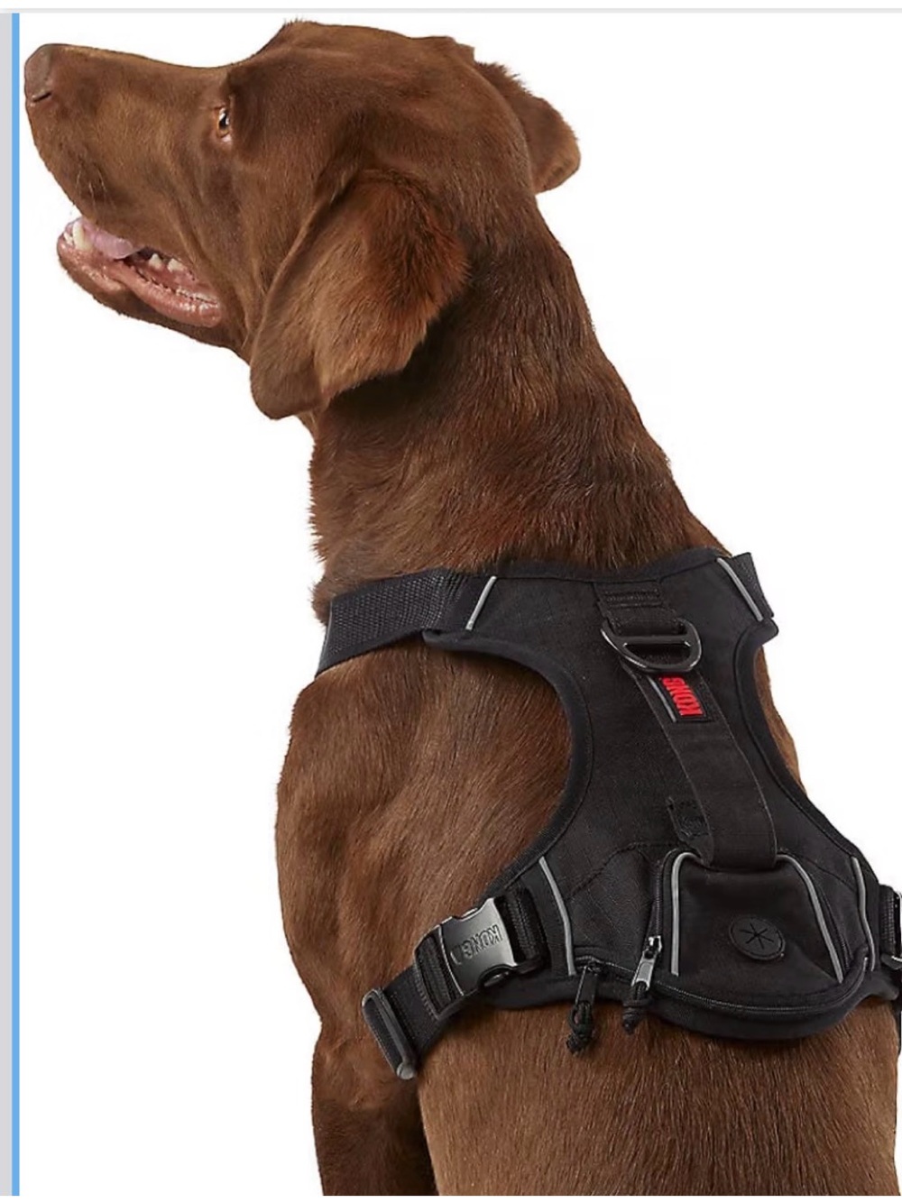KONG Ultra Durable Waste Bag Harness (Large, Black) NEW WITH TAGS